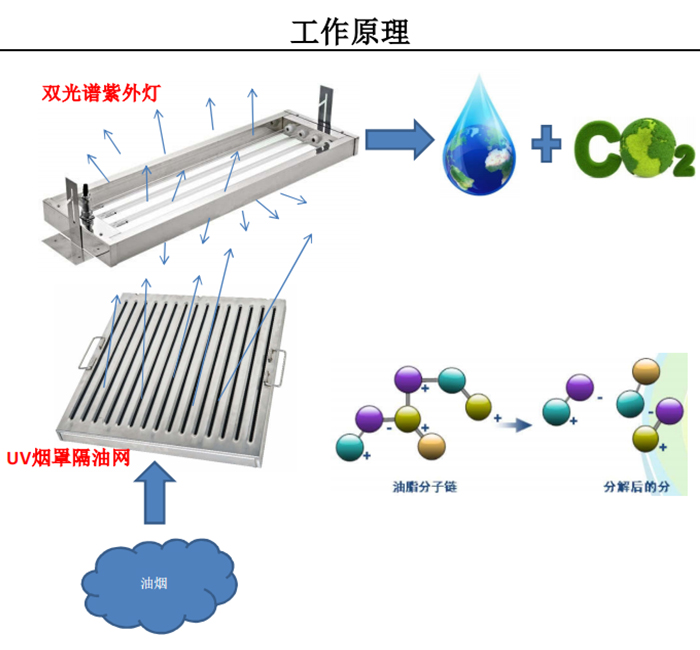 港澳免费资料正版大全